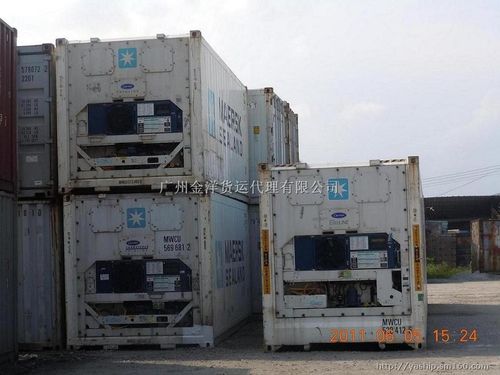 冷冻集装箱货柜图片-广州金洋货运代理有限公司产品相册